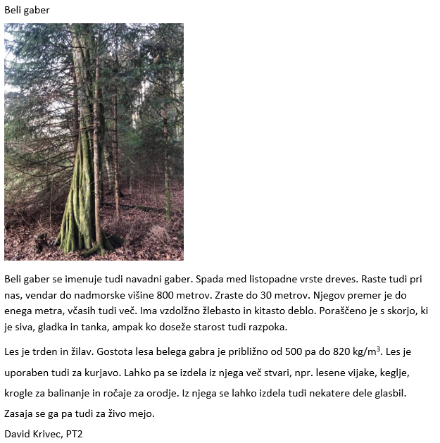 Krivec