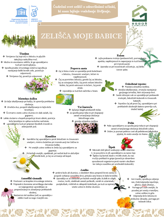 zelisca moje babice