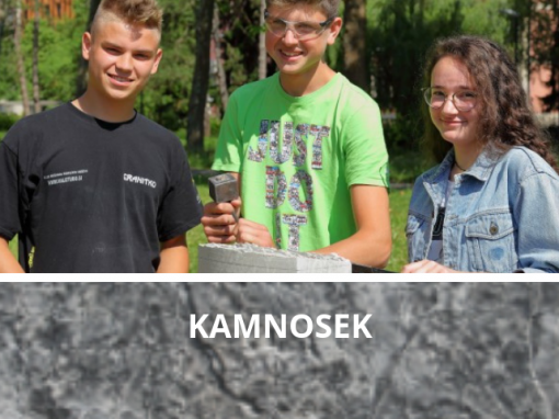 Kamnosek