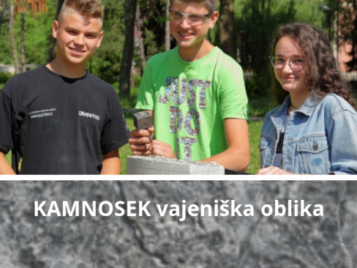 Kamnosek – vajeniška oblika